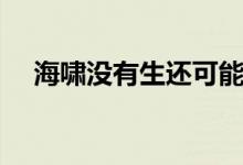 海嘯沒有生還可能嗎（海嘯產(chǎn)生的危害）