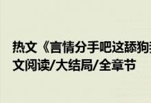 熱文《言情分手吧這舔狗我不當了蘇潯傅清時》紅馬甲開全文閱讀/大結局/全章節(jié)