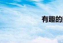 有趣的數(shù)學(xué)小活動
