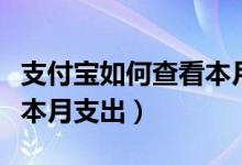 支付寶如何查看本月總支出(支付寶怎么查看本月支出)