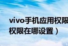 vivo手機應用權限在哪設置（vivo手機應用權限在哪設置）