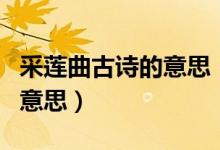 采蓮曲古詩的意思（采蓮曲的意思這首古詩的意思）