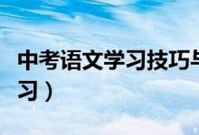 中考語(yǔ)文學(xué)習(xí)技巧與方法（中考語(yǔ)文該怎樣學(xué)習(xí)）
