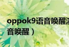 oppok9語(yǔ)音喚醒演示（oppok9怎么開啟語(yǔ)音喚醒）