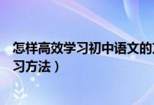 怎樣高效學(xué)習(xí)初中語(yǔ)文的方法詳解(初中語(yǔ)文有什么高效學(xué)習(xí)方法)