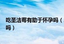 吃圣潔莓有助于懷孕嗎(2年沒(méi)懷孕吃圣潔莓懷孕了 是真的嗎)