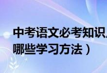 中考語文必考知識點2021講解（中考語文有哪些學(xué)習(xí)方法）