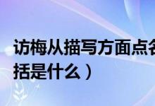 訪梅從描寫(xiě)方面點(diǎn)名了什么（訪梅主要內(nèi)容概括是什么）