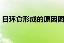日環(huán)食形成的原因圖解(日環(huán)食形成的原因)