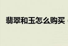 翡翠和玉怎么購(gòu)買（玉和翡翠有什么區(qū)別）