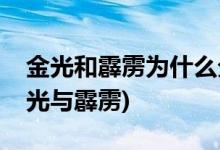 金光和霹靂為什么分家(金光和霹靂的關系金光與霹靂)