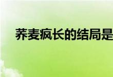 蕎麥瘋長的結局是什么(蕎麥瘋長的結局)