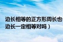 邊長(zhǎng)相等的正方形周長(zhǎng)也一定相等(周長(zhǎng)相等的兩個(gè)正方形邊長(zhǎng)一定相等對(duì)嗎)