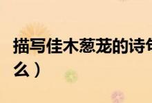 描寫佳木蔥蘢的詩(shī)句是（佳木蔥蘢的詩(shī)句是什么）