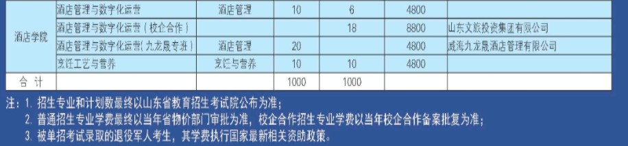威海職業(yè)學院單招和綜合評價招生專業(yè)及計劃