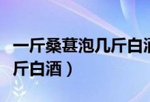 一斤桑葚泡幾斤白酒效果最好（一斤桑葚泡幾斤白酒）