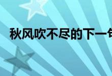 秋風吹不盡的下一句（秋風吹不盡下一句）
