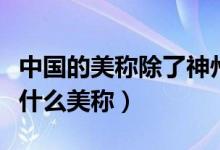 中國(guó)的美稱除了神州還有什么美稱（神州還有什么美稱）