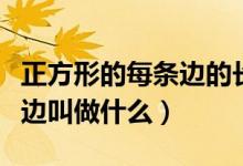 正方形的每條邊的長(zhǎng)叫做什么（正方形的每條邊叫做什么）