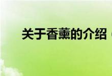 關于香薰的介紹（香薰瓶子不用蓋嗎）