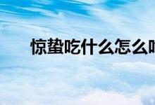 驚蟄吃什么怎么吃（驚蟄吃什么食物）