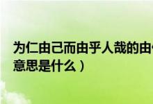 為仁由己而由乎人哉的由什么意思（為仁由己而由人乎哉的意思是什么）