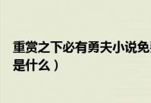 重賞之下必有勇夫小說免費閱讀（重賞之下必有勇夫下一句是什么）