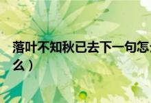 落葉不知秋已去下一句怎么寫（落葉不知秋已盡下一句是什么）