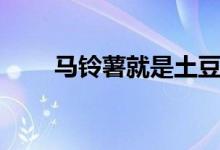 馬鈴薯就是土豆（馬鈴薯是土豆嗎）