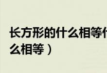 長(zhǎng)方形的什么相等什么都是直角（長(zhǎng)方形的什么相等）