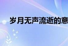 歲月無(wú)聲流逝的意思（歲月無(wú)聲的意思）