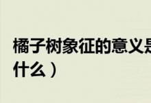 橘子樹(shù)象征的意義是什么（橘子的象征意義是什么）