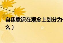 自我意識在觀念上劃分為什么（自我意識在觀念上劃分為什么）