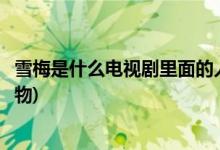 雪梅是什么電視劇里面的人物(雪梅那個什么電視劇里面的人物)
