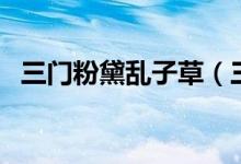 三門(mén)粉黛亂子草（三門(mén)粉黛亂子草在哪里）