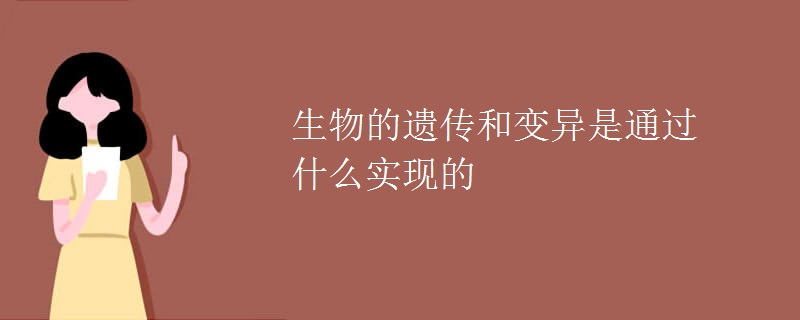生物的遺傳和變異是通過什么實現(xiàn)的