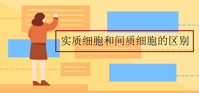 實質(zhì)細胞和間質(zhì)細胞的區(qū)別