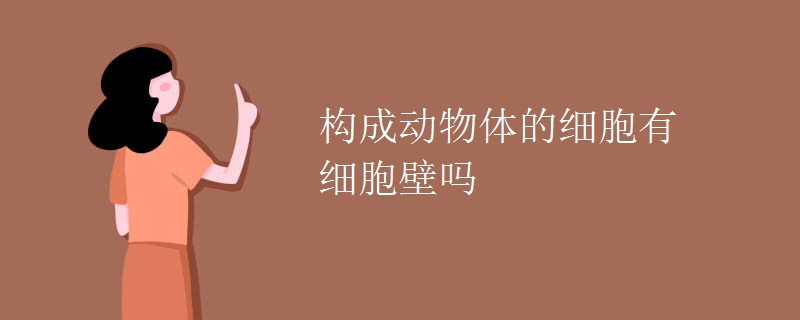 構(gòu)成動(dòng)物體的細(xì)胞有細(xì)胞壁嗎