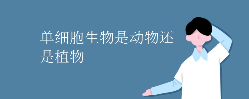 單細(xì)胞生物是動(dòng)物還是植物