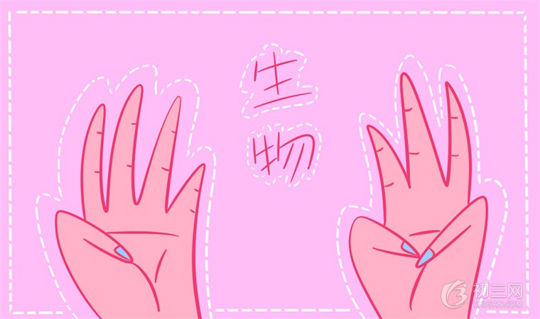 初中生物怎么學(xué)習(xí)