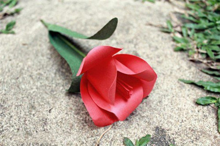 彩紙郁金香花束制作方法8