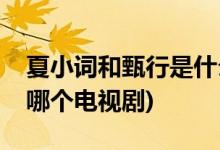 夏小詞和甄行是什么電視劇(夏小詞和甄行是哪個(gè)電視劇)
