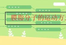 中考快訊：膜脂分子的運(yùn)動(dòng)方式