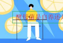 中考快訊:酵母菌是自養(yǎng)還是異養(yǎng)