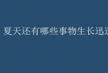 中考快訊：夏天還有哪些事物生長迅速
