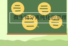 中考快訊：微生物分離純化的原理