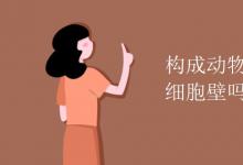 中考快訊:構(gòu)成動(dòng)物體的細(xì)胞有細(xì)胞壁嗎