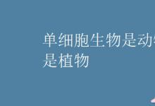 中考快訊：?jiǎn)渭?xì)胞生物是動(dòng)物還是植物