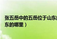張五岳中的五岳位于山東的哪里（三山五岳中的五岳位于山東的哪里）