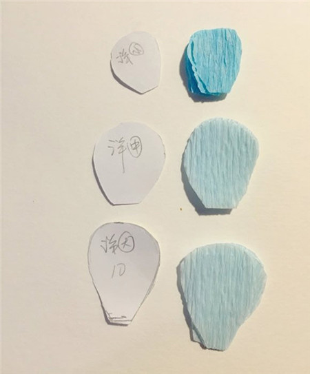 皺紋紙牡丹花制作方法圖解2